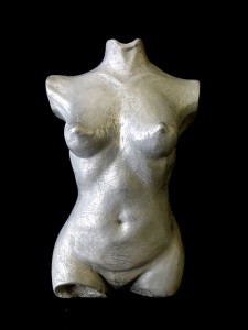 torso